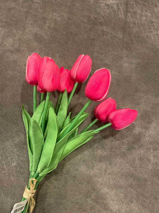 Hot Pink 12” Tulip Stems c7