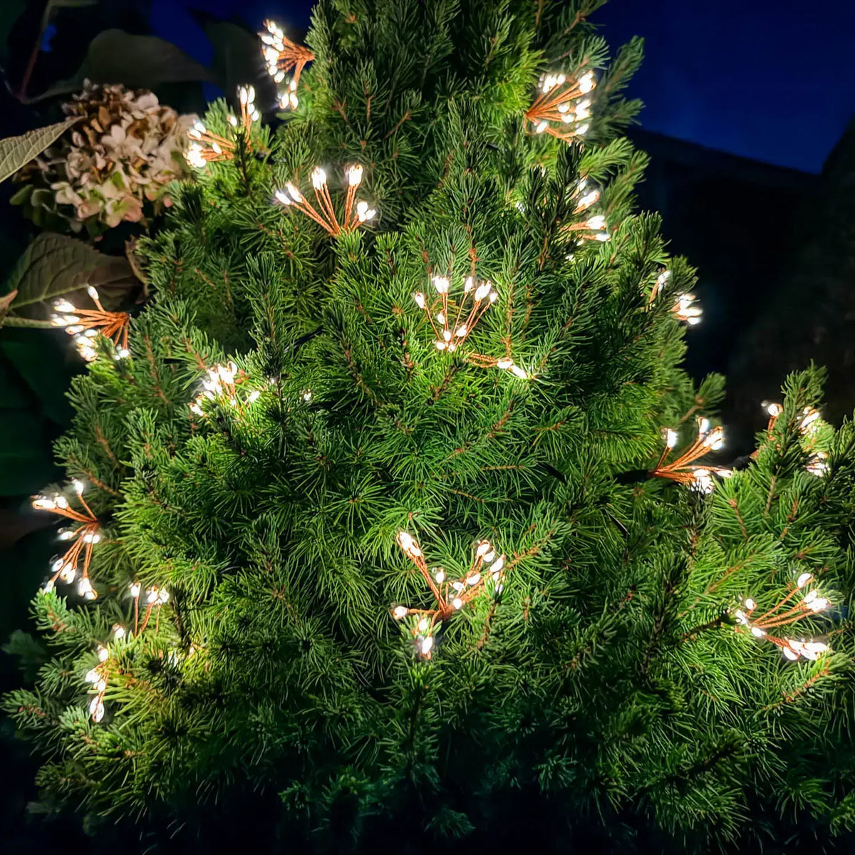 *NEW* Starry Night Solar String Lights - Black