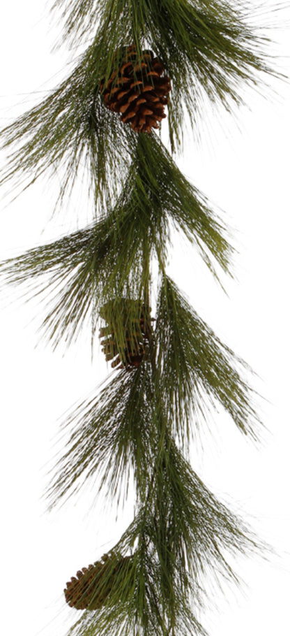 5’x12”L Long Needle Pine Garland