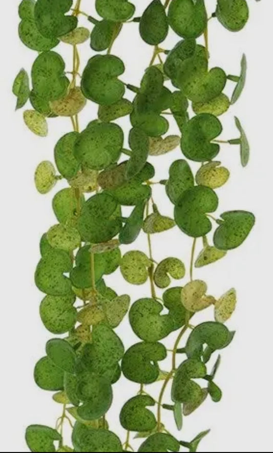 Artificial Soft Touch Pennywort Hanging Spray