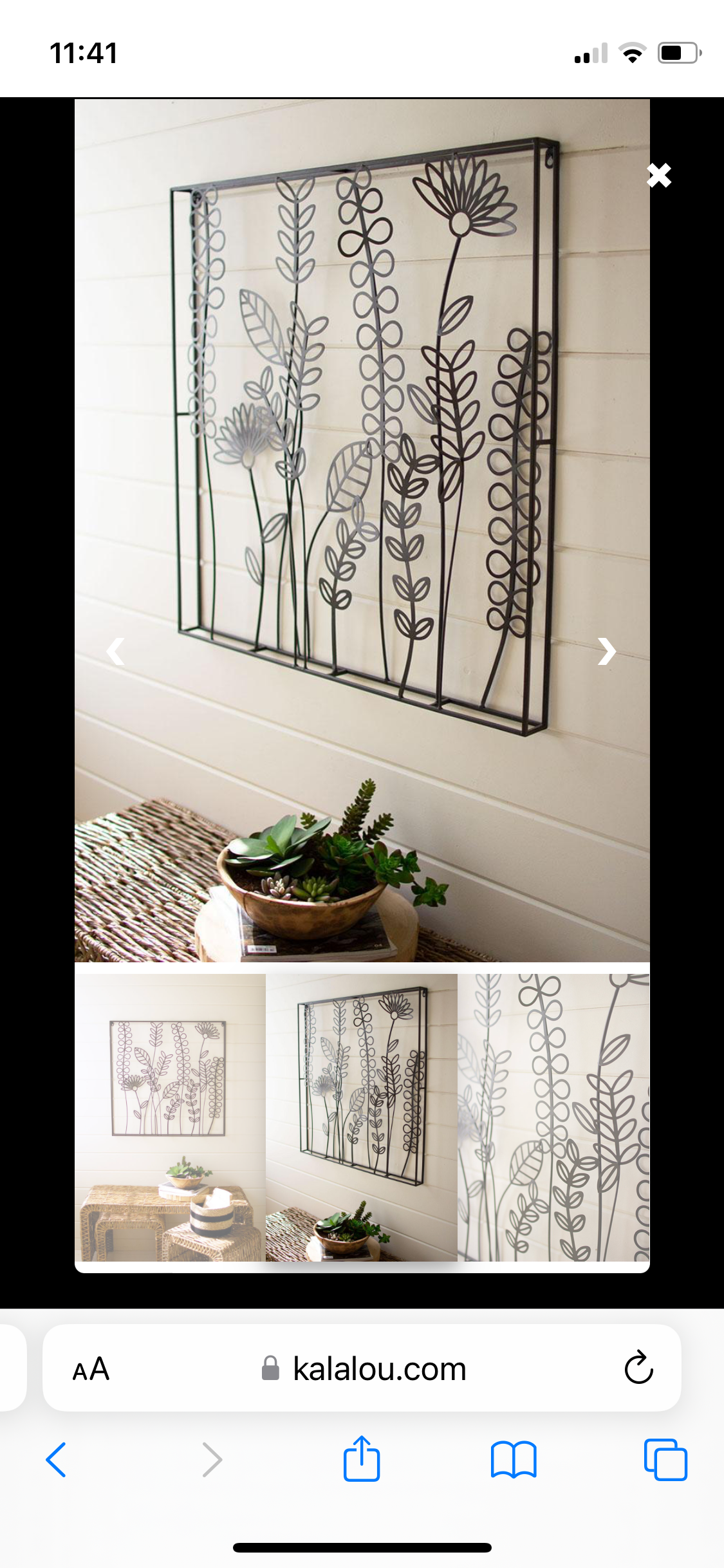 Wire Flowers and ferns Wall Art