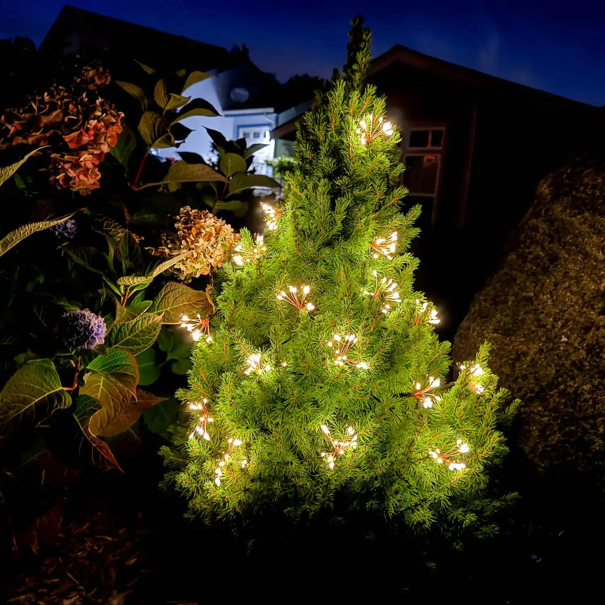 *NEW* Starry Night Solar String Lights - Black