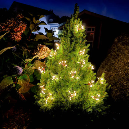 *NEW* Starry Night Solar String Lights - Black