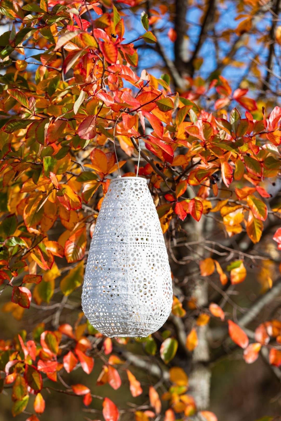 *NEW* Stella Blossom 14" Teardrop Solar Lantern - Pearl