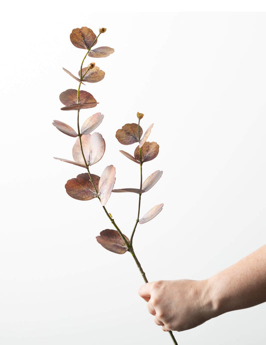 Brown Eucalyptus Spray
