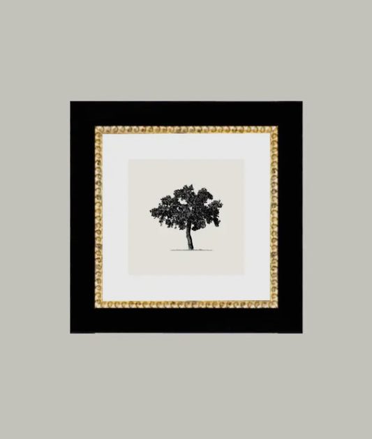 Tree Framed Antique Art