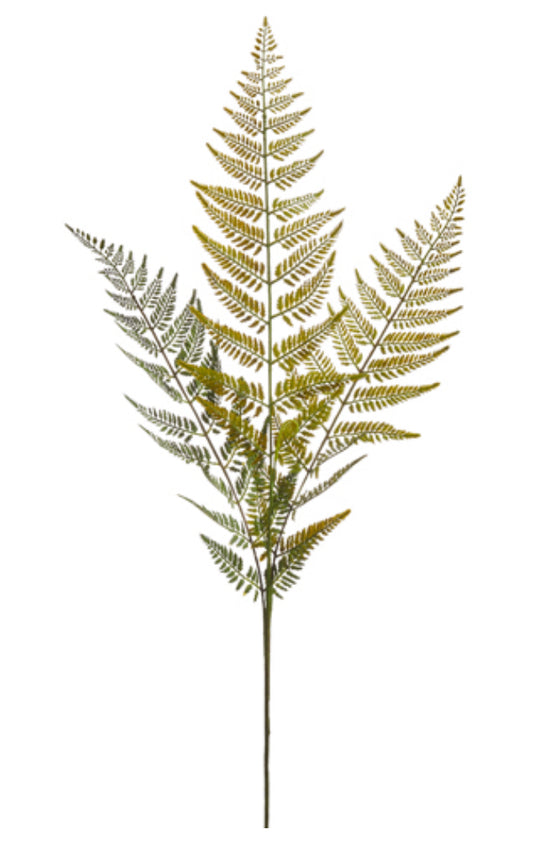 43” Fern Spray