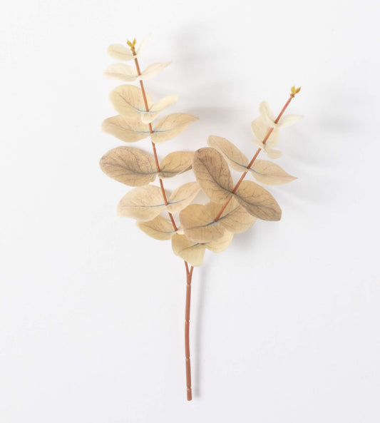 Cream Leaf Stem