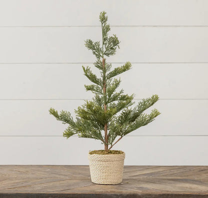 23.75” Pine w/ Braided Pot