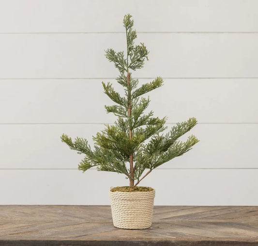 23.75” Pine w/ Braided Pot