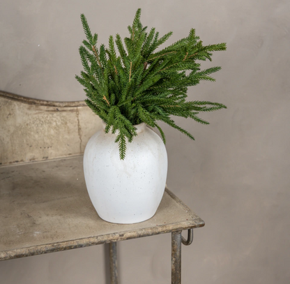 18” Soft Touch Norfolk Pine Pick