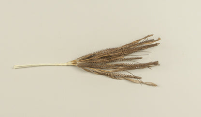 19.5” Olive Brown Grass Spray