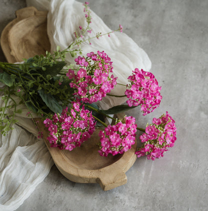 20” Pink Wild Hydrangea Bush