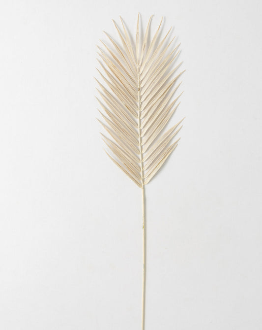 Oversized Cream Fern Spray