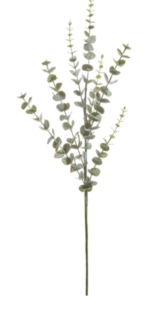 36” Eucalyptus Spray