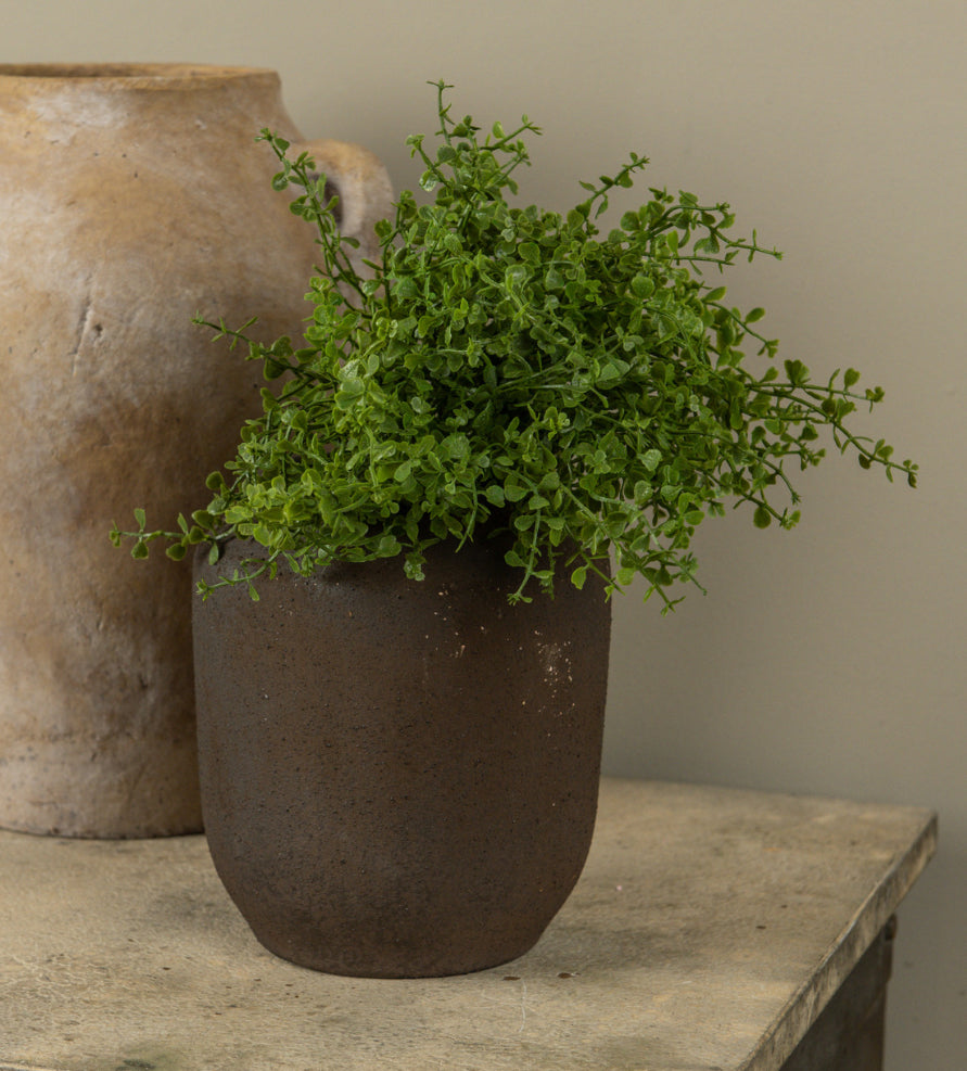 12” Baby Grass Bush