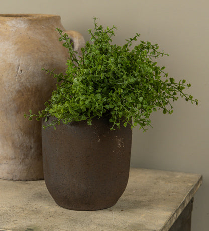 12” Baby Grass Bush