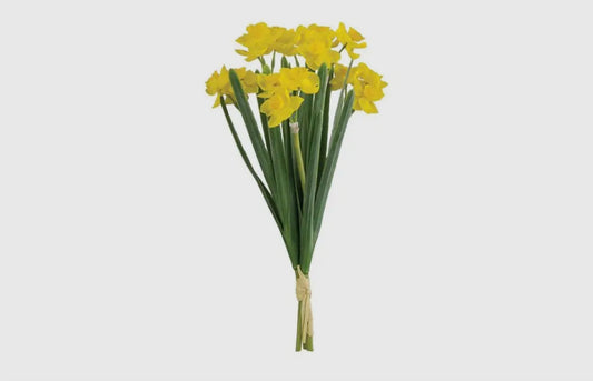 Yellow Narcissus Bundle