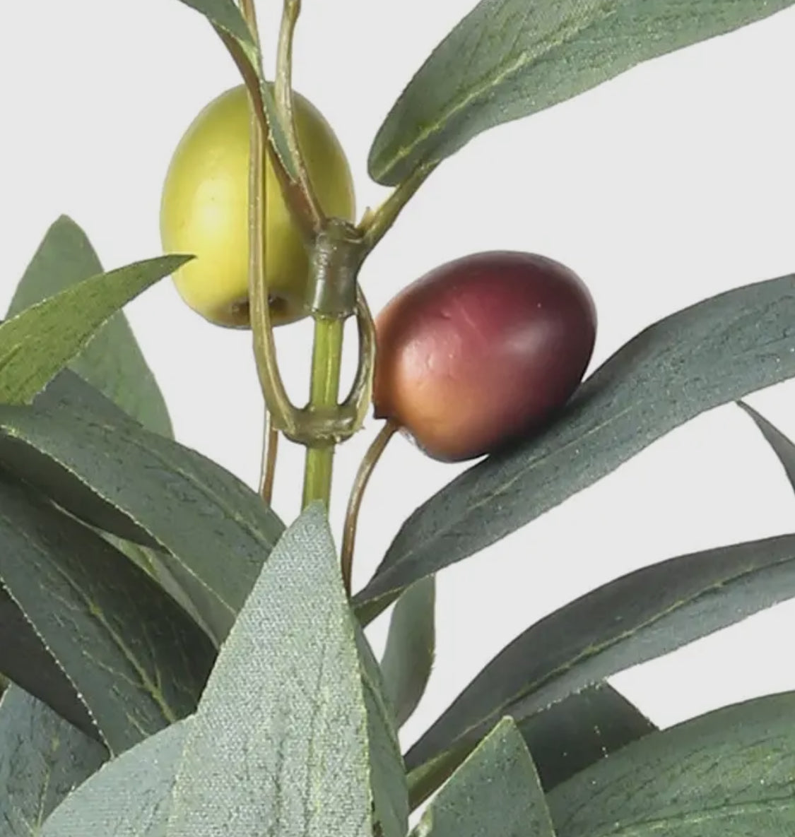 Artificial Pruned Olive Stem