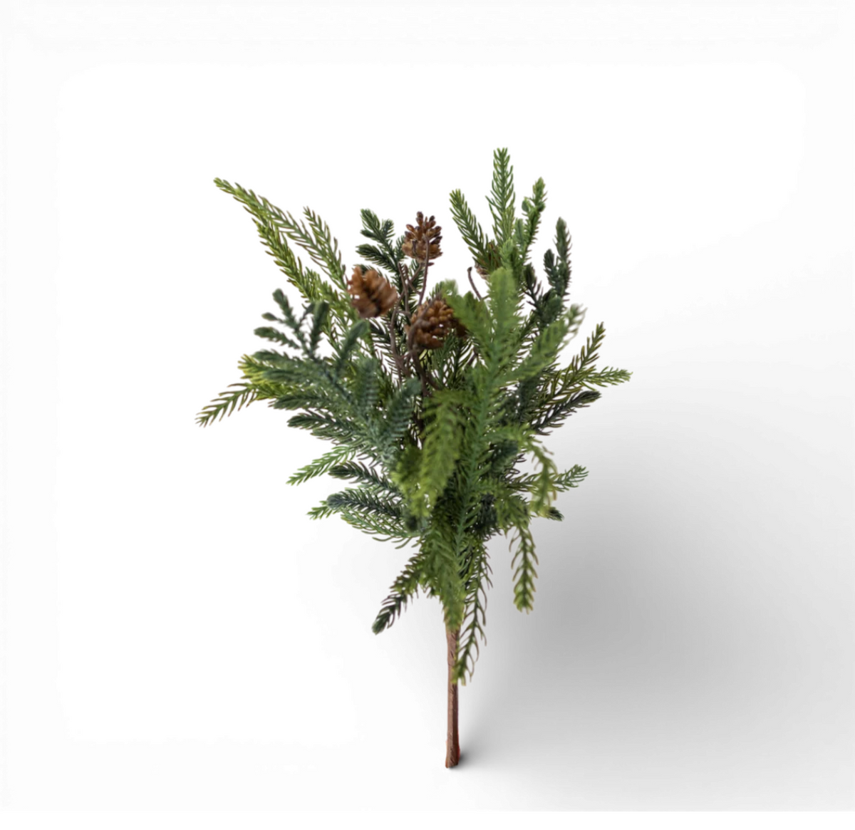 14” Araucaria Pine w/Pinecone Spray