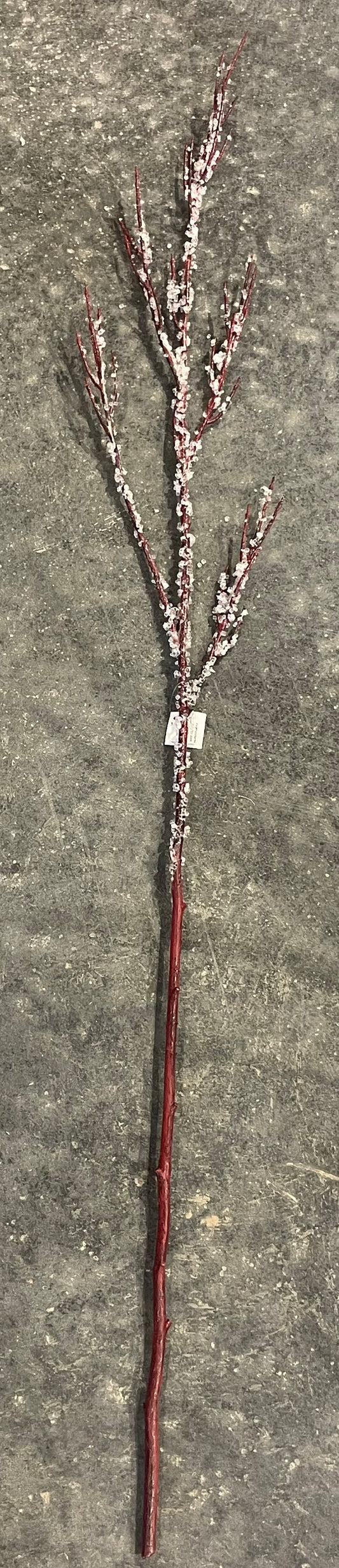 Iced Burgundy Twig Branch