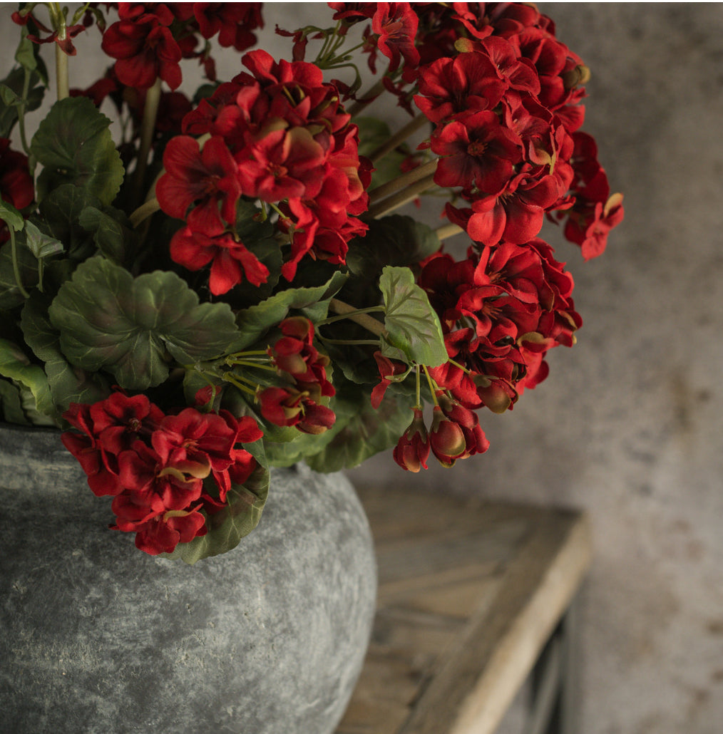 19.5” Red Geranium Bush
