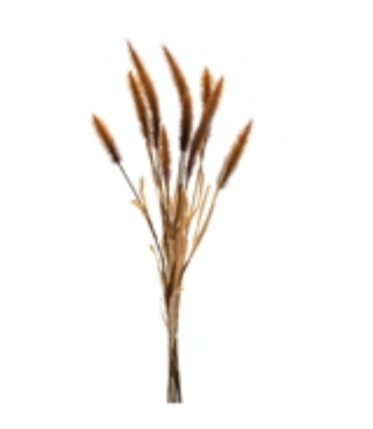 23”H Foxtail Bundle