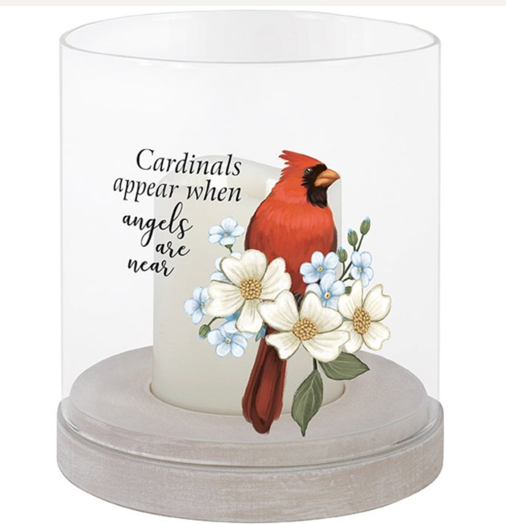 Cardinals Appear Hurricane w/Flameless Candle