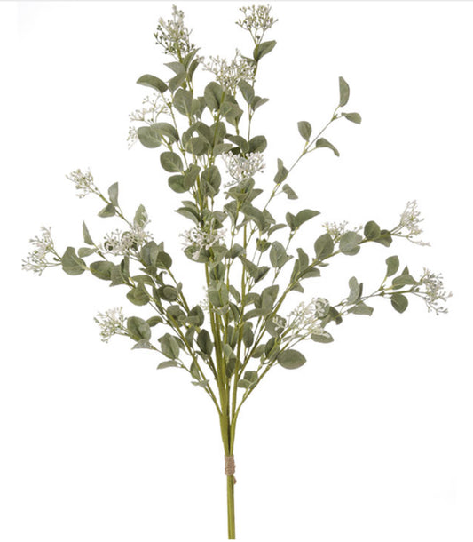 34.5” Seeded Eucalyptus Bundle