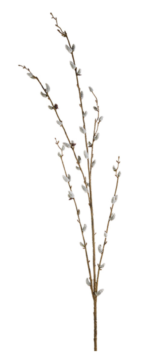 46” Pussy Willow Branch