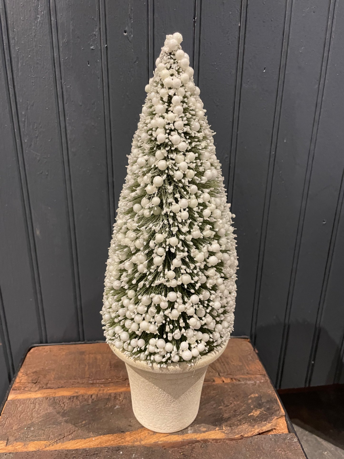 Potted Bottle Brush Tree w/Berries-sm