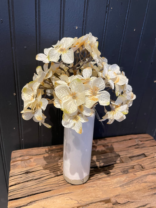 Hand-tied Cream Hydrangeas x6
