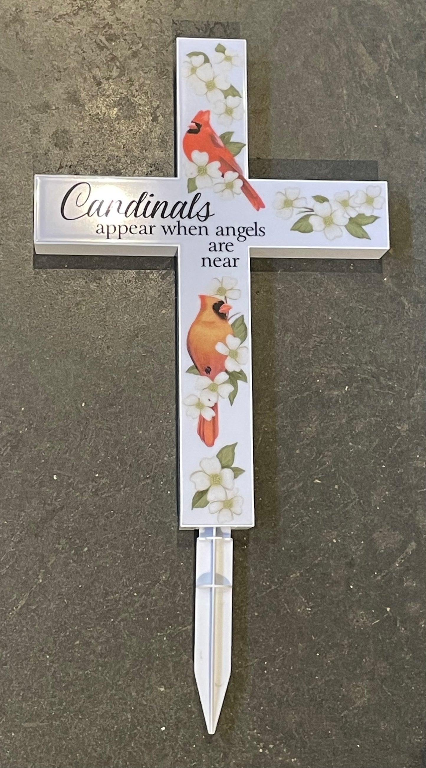 Solar Cross “Cardinals appear when Angels are Near”
