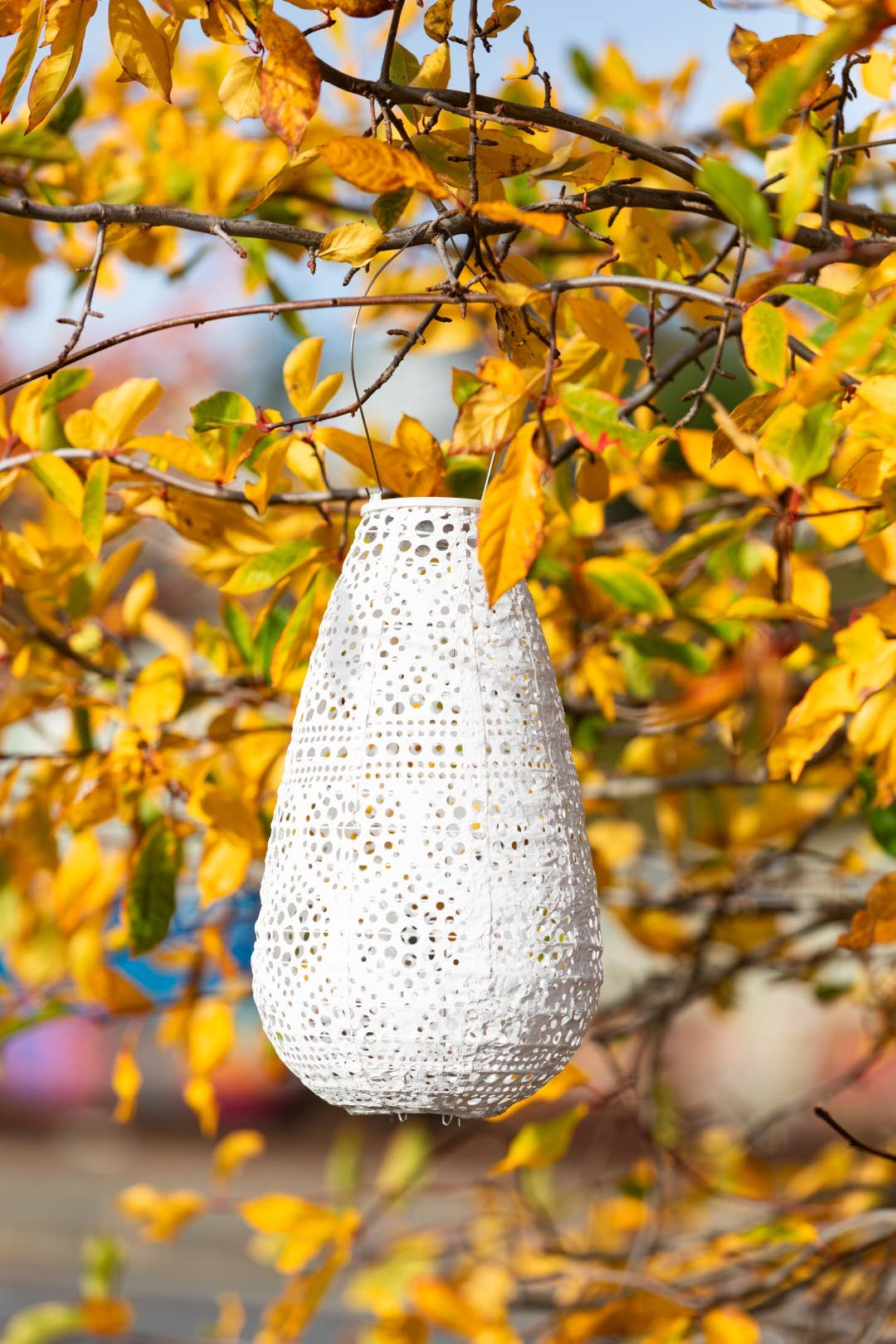 *NEW* Stella Blossom 14" Teardrop Solar Lantern - Pearl