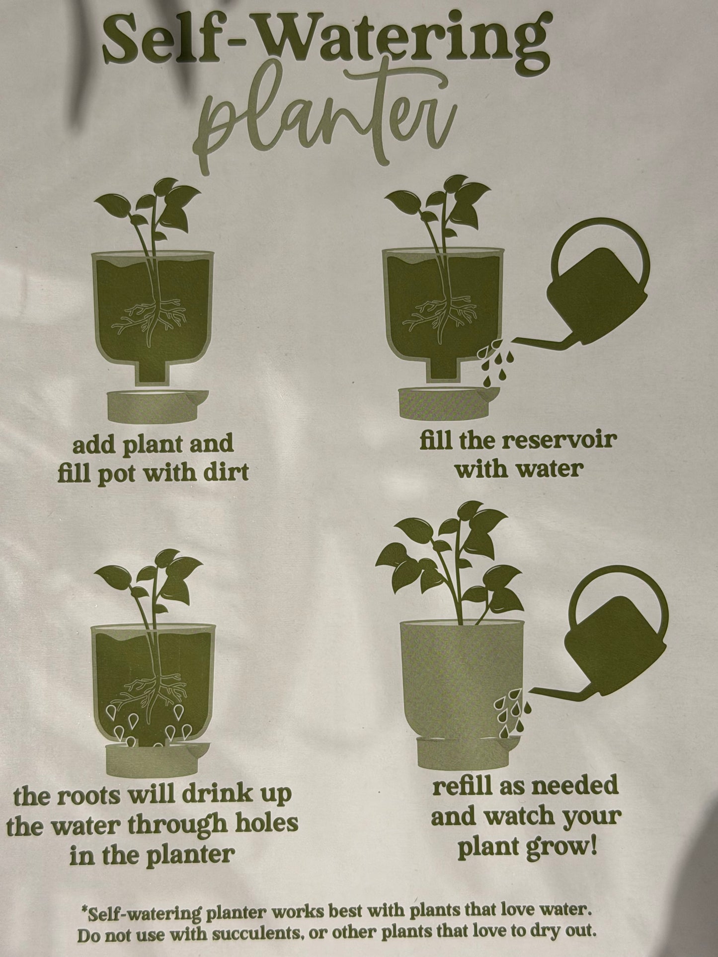 Palm Plant in a Sage Self Watering Planter