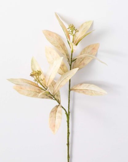 Cream Leaf Spray