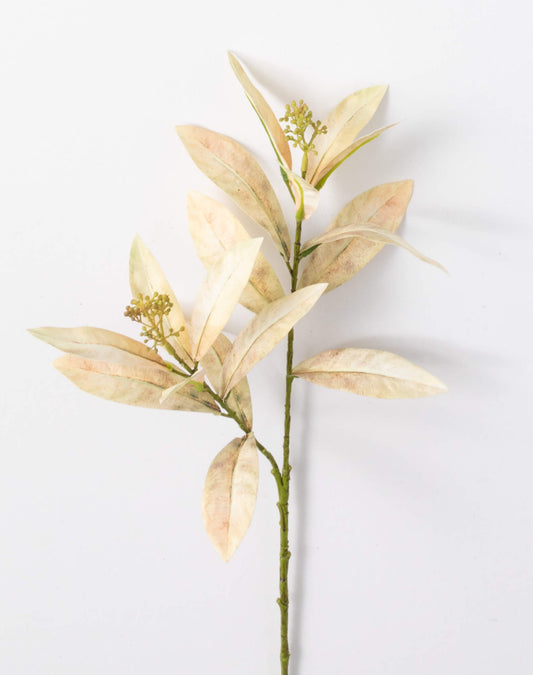 Cream Leaf Spray