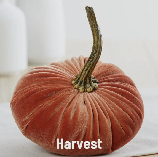 Small Harvest Velvet Pumpkin