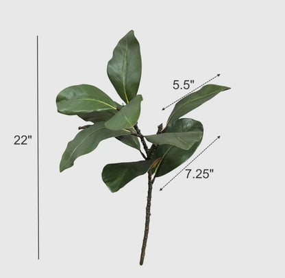 22” Magnolia Stem