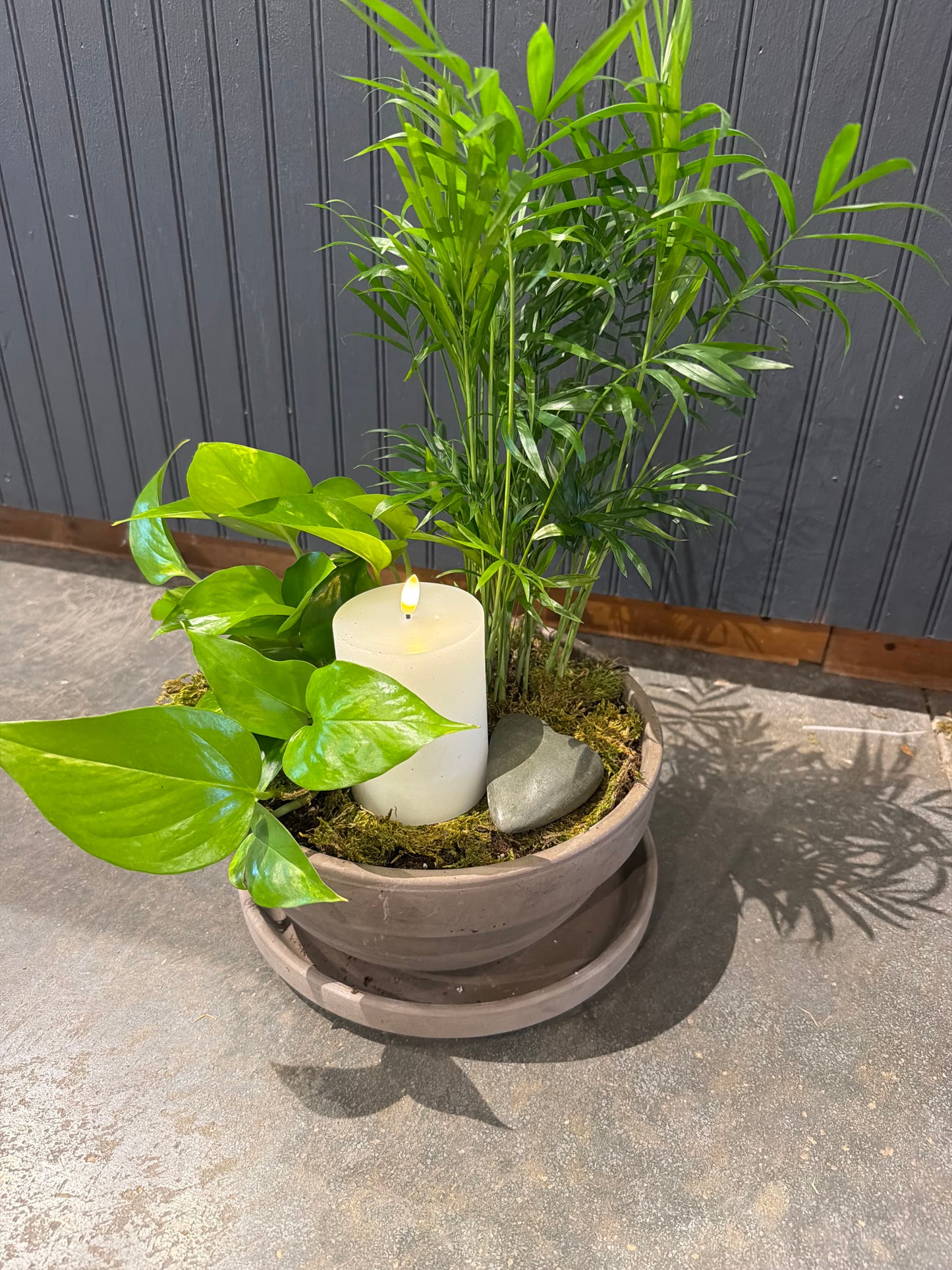 Green plants in our Levy Bowl W/LED Candle & Stone Heart