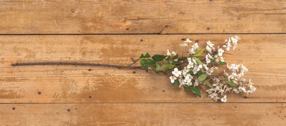 32” White Blossom Spray