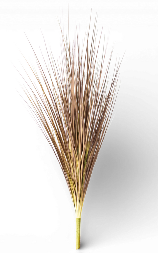 36” Onion Grass Spray