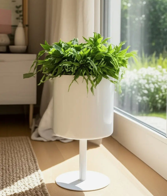 6” White Metal Cylander Flat Round Base Planter