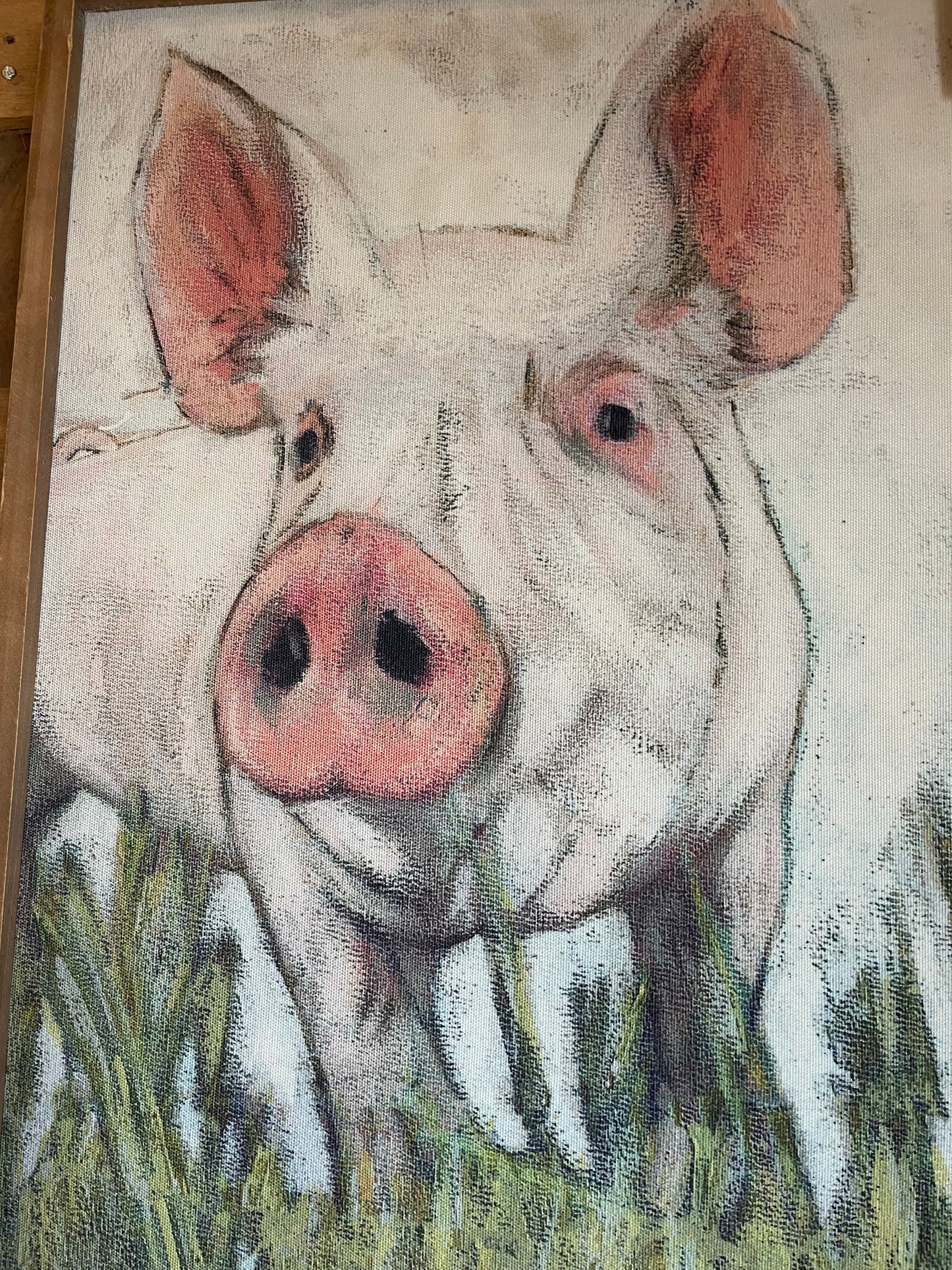 Wood Wall Framed Pig Print