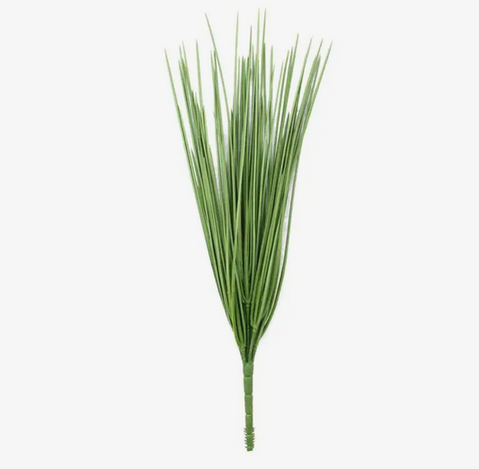 Wild Grass Bush