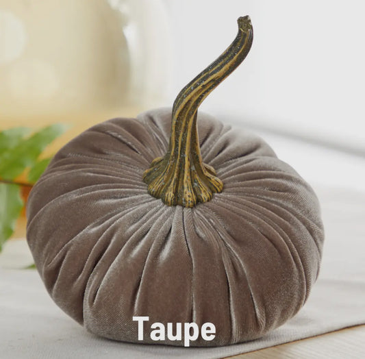 Large Taupe Velvet Pumpkin