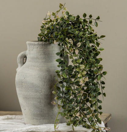 34” Pea Leaf Hanging Bush