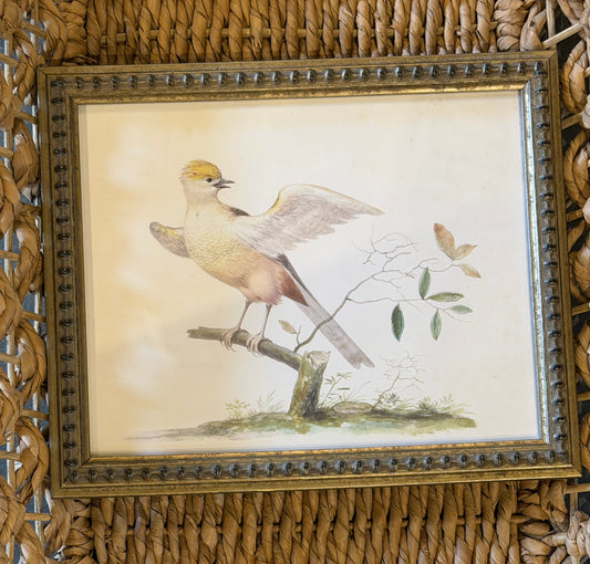 10” x 8” Vintage soft bird illustration B on distressed background