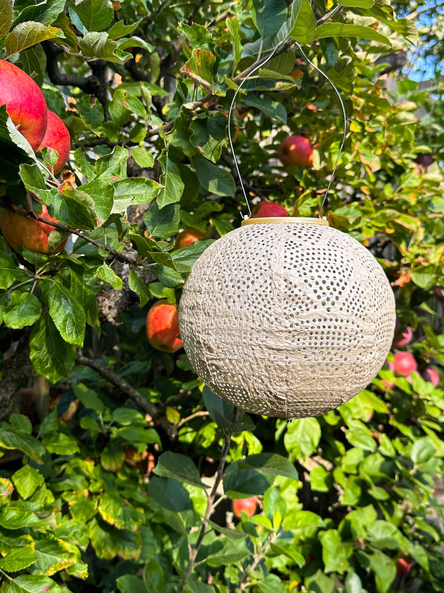 Stella Globe 8" Solar Lantern - Pearl