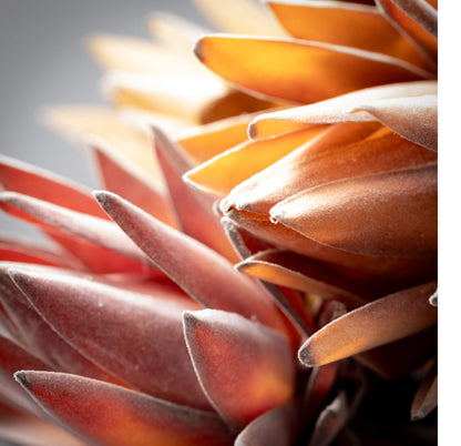 Fall Light Rust Artichoke Spray